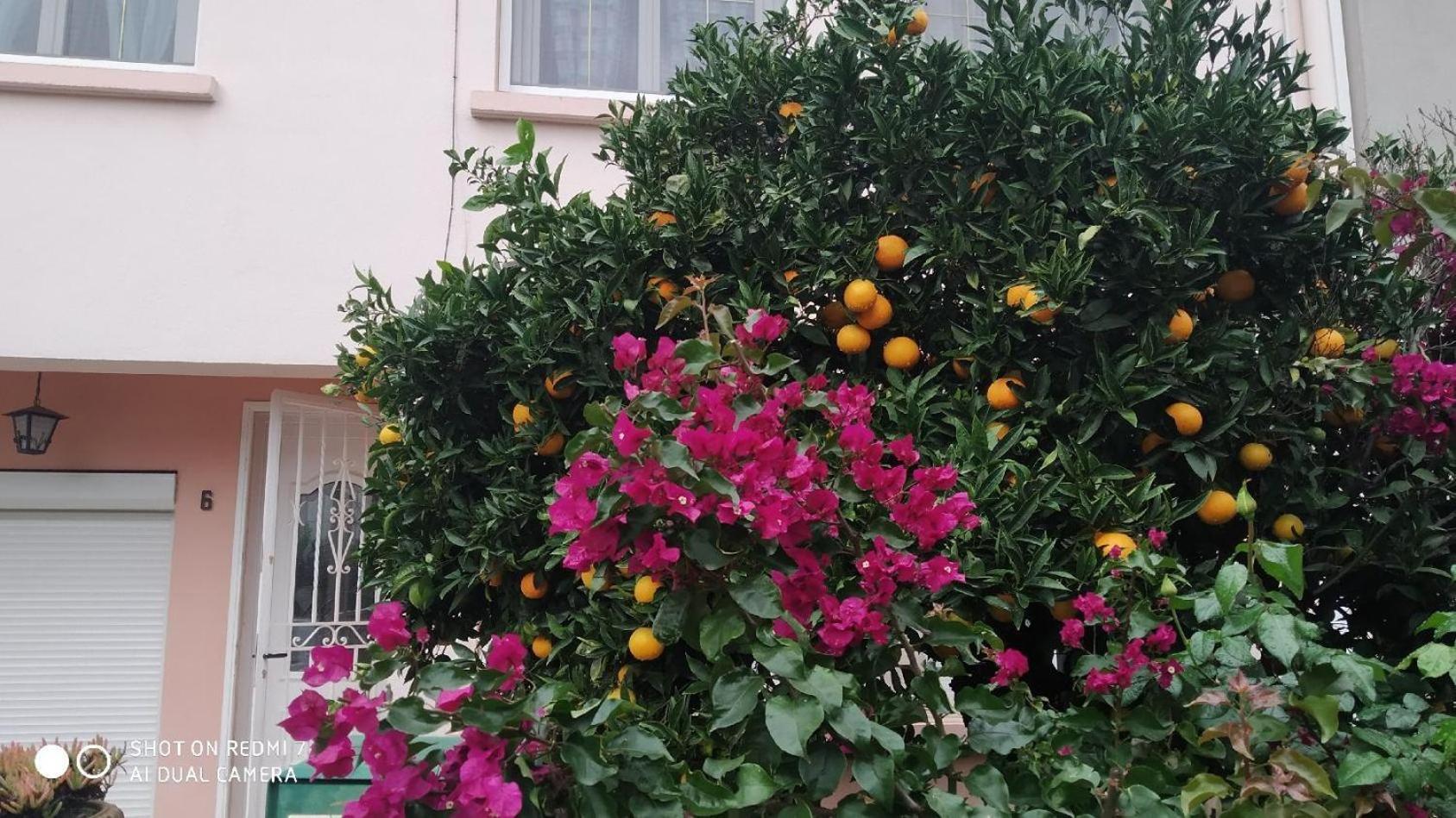 Privatunterkunft Confort,gare Tgv ,wifi,climatisation, Parking,pt Dejeuner Perpignan